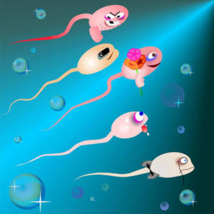 sperm-kalitesi